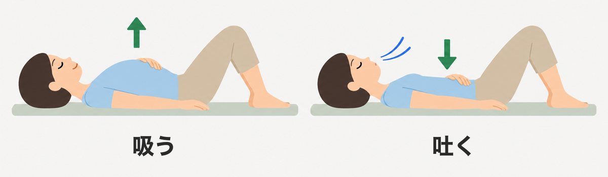 腹式呼吸のやり方:あお向けに寝てひざを立て、息を吸うとおなかがふくらみ、吐くと戻る様子のイラスト